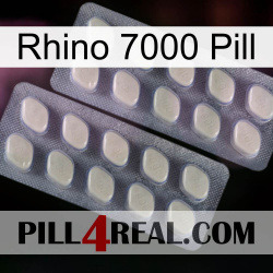 Rhino 7000 Pill